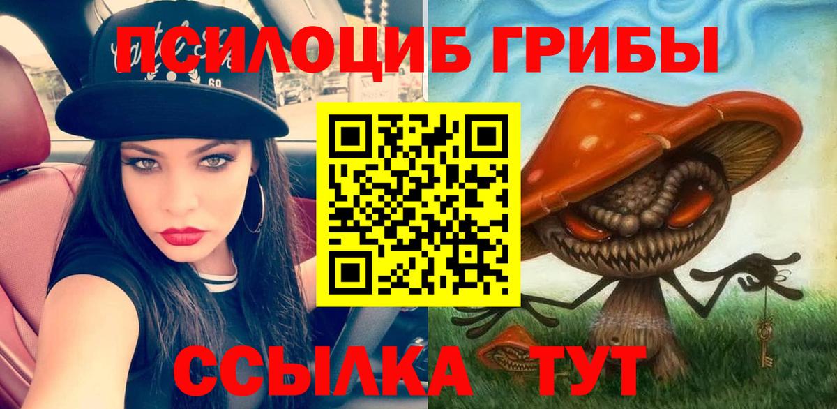 Гусев  закладки  Псилоцибиновые грибы Cubensis  Вход с VPN  Галлюциногенные грибы Psilocybine cubensis 